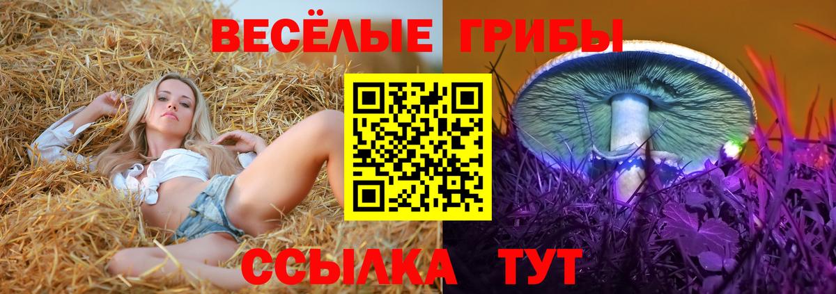 Псилоцибиновые грибы MAGIC MUSHROOMS Шатура